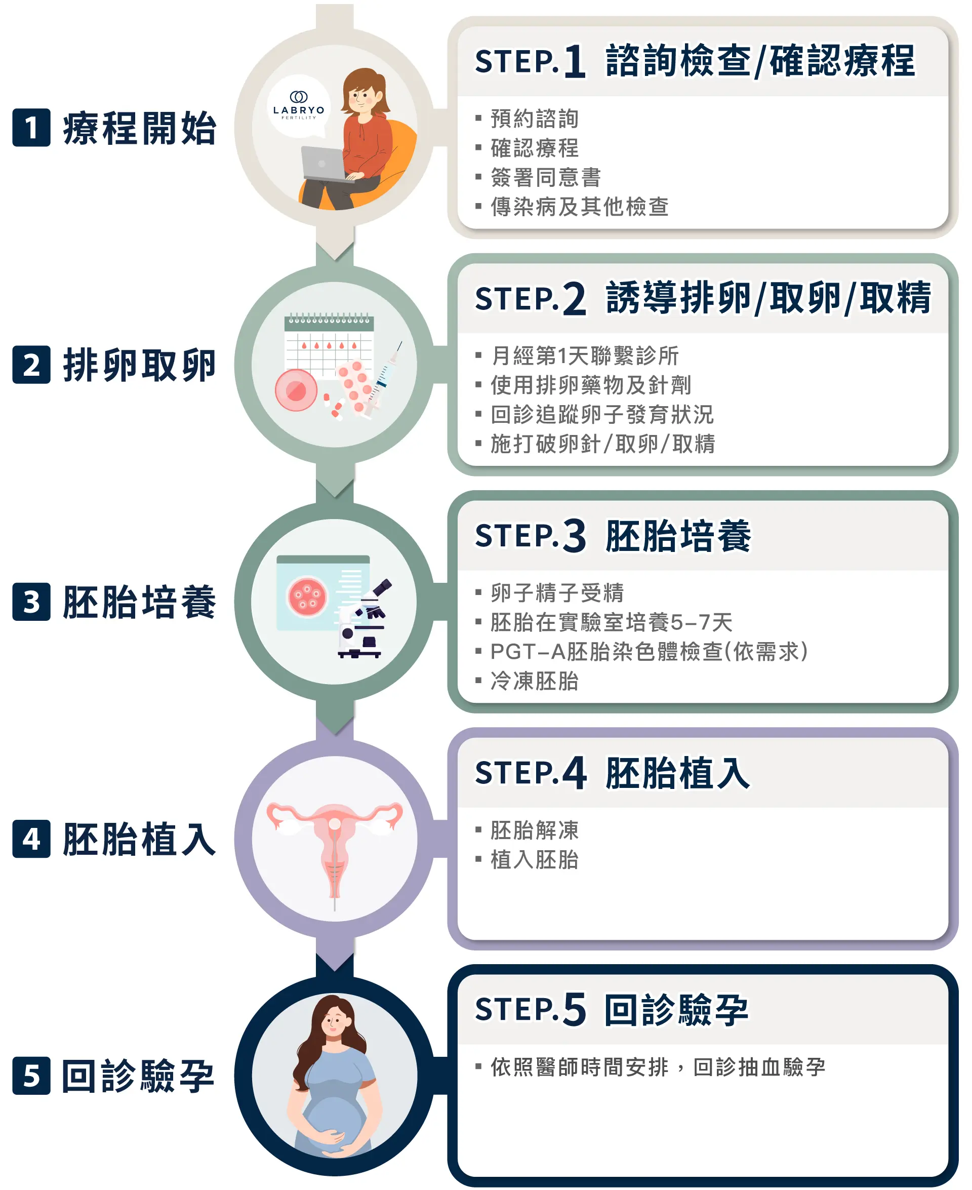 試管嬰兒(IVF)療程步驟圖